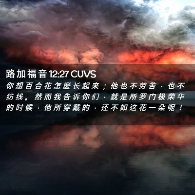 Picture 02 - 路 加 福 音 12:27 CUVS - 你 想 百 合 花 怎 麽 长 起 来 ； 他 - Bible Verse Picture