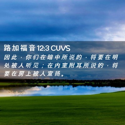 Picture 02 - 路 加 福 音 12:3 CUVS - 因 此 ， 你 们 在 暗 中 所 说 的 ， - Bible Verse Picture