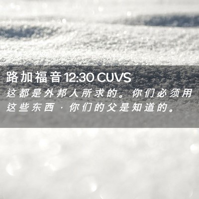Picture 02 - 路 加 福 音 12:30 CUVS - 这 都 是 外 邦 人 所 求 的 。 你 们 - Bible Verse Picture