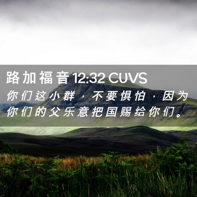 Picture 02 - 路 加 福 音 12:32 CUVS - 你 们 这 小 群 ， 不 要 惧 怕 ， 因 - Bible Verse Picture