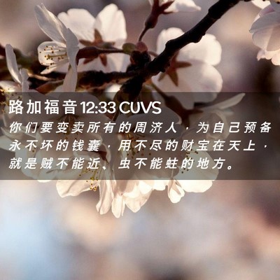 Picture 02 - 路 加 福 音 12:33 CUVS - 你 们 要 变 卖 所 有 的 周 济 人 ， - Bible Verse Picture
