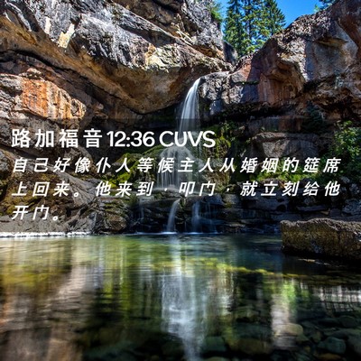 Picture 02 - 路 加 福 音 12:36 CUVS - 自 己 好 像 仆 人 等 候 主 人 从 婚 - Bible Verse Picture