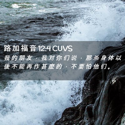 Picture 02 - 路 加 福 音 12:4 CUVS - 我 的 朋 友 ， 我 对 你 们 说 ， 那 - Bible Verse Picture