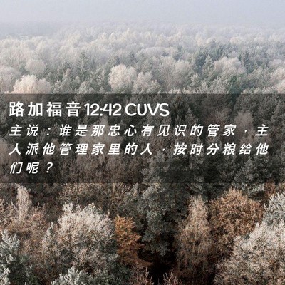 Picture 02 - 路 加 福 音 12:42 CUVS - 主 说 ： 谁 是 那 忠 心 有 见 识 的 - Bible Verse Picture