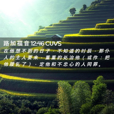 Picture 02 - 路 加 福 音 12:46 CUVS - 在 他 想 不 到 的 日 子 ， 不 知 道 - Bible Verse Picture