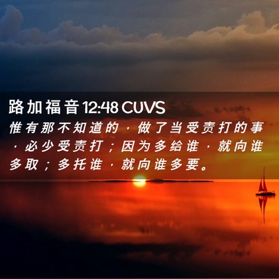 Picture 02 - 路 加 福 音 12:48 CUVS - 惟 有 那 不 知 道 的 ， 做 了 当 受 - Bible Verse Picture