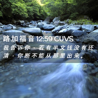 Picture 02 - 路 加 福 音 12:59 CUVS - 我 告 诉 你 ， 若 有 半 文 钱 没 有 - Bible Verse Picture