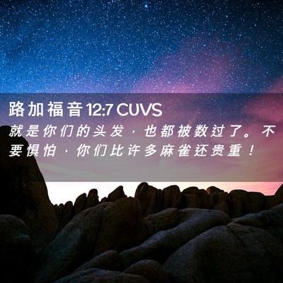 Picture 02 - 路 加 福 音 12:7 CUVS - 就 是 你 们 的 头 发 ， 也 都 被 数 - Bible Verse Picture