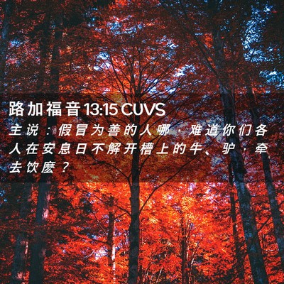 Picture 02 - 路 加 福 音 13:15 CUVS - 主 说 ： 假 冒 为 善 的 人 哪 ， 难 - Bible Verse Picture