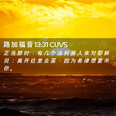 Picture 02 - 路 加 福 音 13:31 CUVS - 正 当 那 时 ， 有 几 个 法 利 赛 人 - Bible Verse Picture