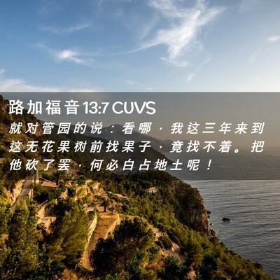Picture 02 - 路 加 福 音 13:7 CUVS - 就 对 管 园 的 说 ： 看 哪 ， 我 这 - Bible Verse Picture