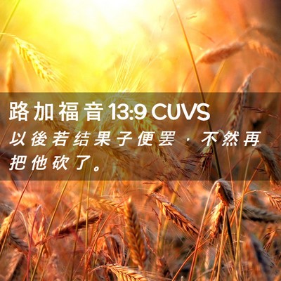 Picture 02 - 路 加 福 音 13:9 CUVS - 以 後 若 结 果 子 便 罢 ， 不 然 再 - Bible Verse Picture
