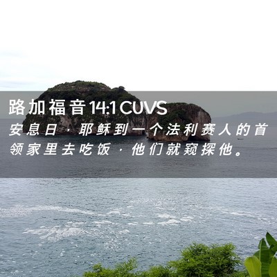 Picture 02 - 路 加 福 音 14:1 CUVS - 安 息 日 ， 耶 稣 到 一 个 法 利 赛 - Bible Verse Picture