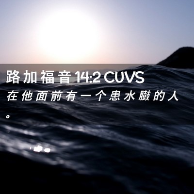 Picture 02 - 路 加 福 音 14:2 CUVS - 在 他 面 前 有 一 个 患 水 臌 的 人 - Bible Verse Picture