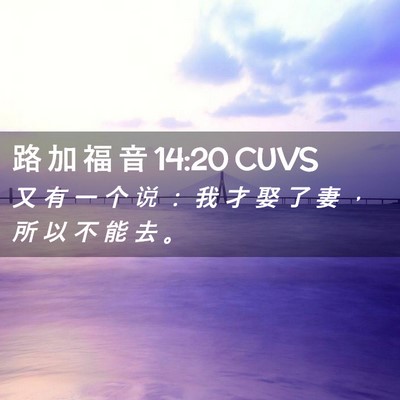 Picture 02 - 路 加 福 音 14:20 CUVS - 又 有 一 个 说 ： 我 才 娶 了 妻 ， - Bible Verse Picture