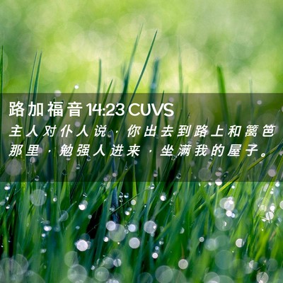 Picture 02 - 路 加 福 音 14:23 CUVS - 主 人 对 仆 人 说 ， 你 出 去 到 路 - Bible Verse Picture