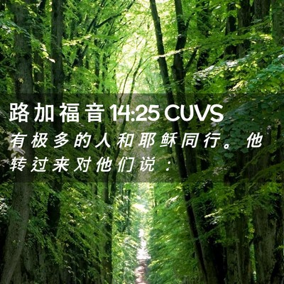 Picture 02 - 路 加 福 音 14:25 CUVS - 有 极 多 的 人 和 耶 稣 同 行 。 他 - Bible Verse Picture
