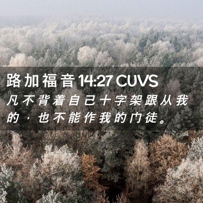 Picture 02 - 路 加 福 音 14:27 CUVS - 凡 不 背 着 自 己 十 字 架 跟 从 我 - Bible Verse Picture