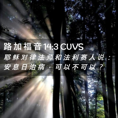 Picture 02 - 路 加 福 音 14:3 CUVS - 耶 稣 对 律 法 师 和 法 利 赛 人 说 - Bible Verse Picture