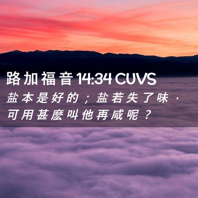 Picture 02 - 路 加 福 音 14:34 CUVS - 盐 本 是 好 的 ； 盐 若 失 了 味 ， - Bible Verse Picture