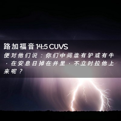 Picture 02 - 路 加 福 音 14:5 CUVS - 便 对 他 们 说 ： 你 们 中 间 谁 有 - Bible Verse Picture