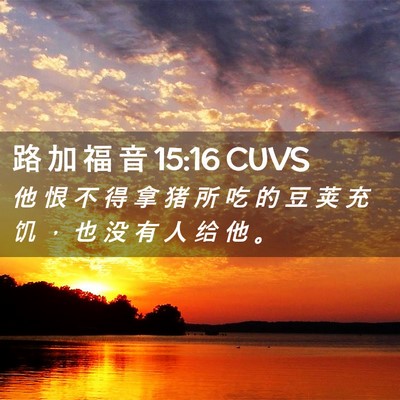 Picture 02 - 路 加 福 音 15:16 CUVS - 他 恨 不 得 拿 猪 所 吃 的 豆 荚 充 - Bible Verse Picture