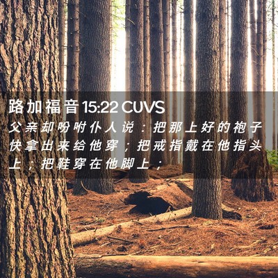 Picture 02 - 路 加 福 音 15:22 CUVS - 父 亲 却 吩 咐 仆 人 说 ： 把 那 上 - Bible Verse Picture