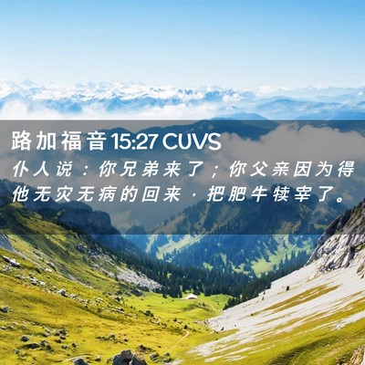 Picture 02 - 路 加 福 音 15:27 CUVS - 仆 人 说 ： 你 兄 弟 来 了 ； 你 父 - Bible Verse Picture