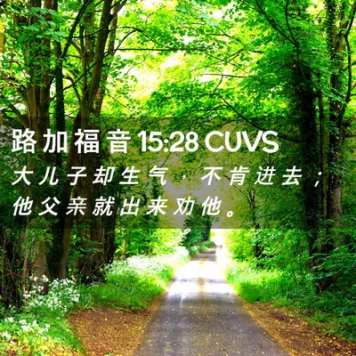 Picture 02 - 路 加 福 音 15:28 CUVS - 大 儿 子 却 生 气 ， 不 肯 进 去 ； - Bible Verse Picture