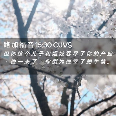 Picture 02 - 路 加 福 音 15:30 CUVS - 但 你 这 个 儿 子 和 娼 妓 吞 尽 了 - Bible Verse Picture