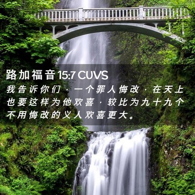 Picture 02 - 路 加 福 音 15:7 CUVS - 我 告 诉 你 们 ， 一 个 罪 人 悔 改 - Bible Verse Picture