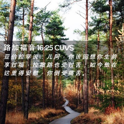 Picture 02 - 路 加 福 音 16:25 CUVS - 亚 伯 拉 罕 说 ： 儿 阿 ， 你 该 回 - Bible Verse Picture