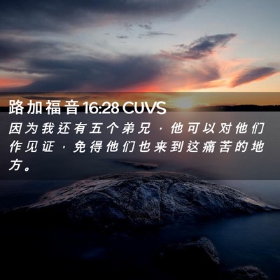 Picture 02 - 路 加 福 音 16:28 CUVS - 因 为 我 还 有 五 个 弟 兄 ， 他 可 - Bible Verse Picture