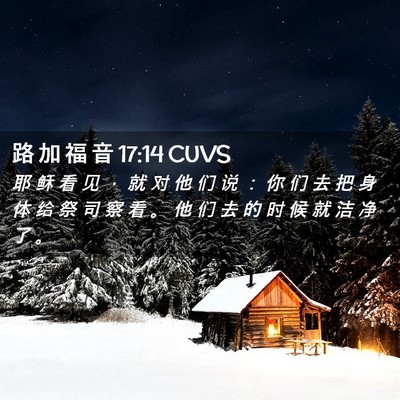 Picture 02 - 路 加 福 音 17:14 CUVS - 耶 稣 看 见 ， 就 对 他 们 说 ： 你 - Bible Verse Picture