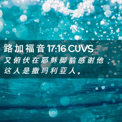 Picture 02 - 路 加 福 音 17:16 CUVS - 又 俯 伏 在 耶 稣 脚 前 感 谢 他 ； - Bible Verse Picture
