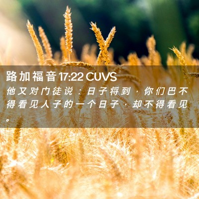 Picture 02 - 路 加 福 音 17:22 CUVS - 他 又 对 门 徒 说 ： 日 子 将 到 ， - Bible Verse Picture