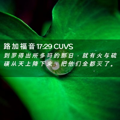 Picture 02 - 路 加 福 音 17:29 CUVS - 到 罗 得 出 所 多 玛 的 那 日 ， 就 - Bible Verse Picture