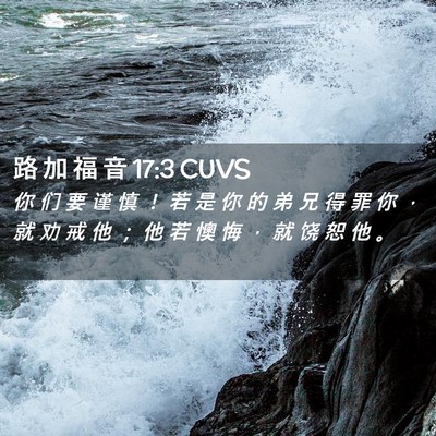 Picture 02 - 路 加 福 音 17:3 CUVS - 你 们 要 谨 慎 ！ 若 是 你 的 弟 兄 - Bible Verse Picture
