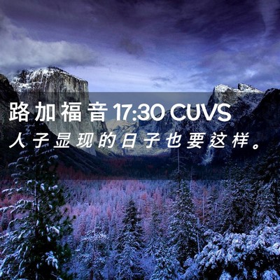 Picture 02 - 路 加 福 音 17:30 CUVS - 人 子 显 现 的 日 子 也 要 这 样 - Bible Verse Picture