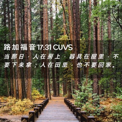 Picture 02 - 路 加 福 音 17:31 CUVS - 当 那 日 ， 人 在 房 上 ， 器 具 在 - Bible Verse Picture