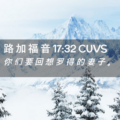 Picture 02 - 路 加 福 音 17:32 CUVS - 你 们 要 回 想 罗 得 的 妻 子 - Bible Verse Picture