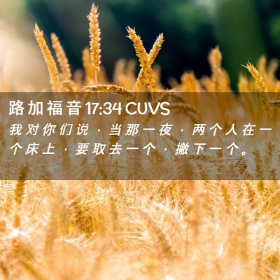 Picture 02 - 路 加 福 音 17:34 CUVS - 我 对 你 们 说 ， 当 那 一 夜 ， 两 - Bible Verse Picture