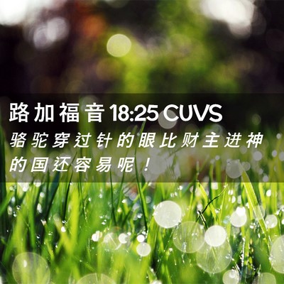 Picture 02 - 路 加 福 音 18:25 CUVS - 骆 驼 穿 过 针 的 眼 比 财 主 进 神 - Bible Verse Picture