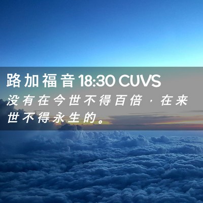 Picture 02 - 路 加 福 音 18:30 CUVS - 没 有 在 今 世 不 得 百 倍 ， 在 来 - Bible Verse Picture