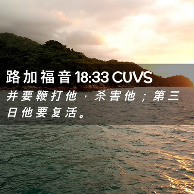 Picture 02 - 路 加 福 音 18:33 CUVS - 并 要 鞭 打 他 ， 杀 害 他 ； 第 三 - Bible Verse Picture