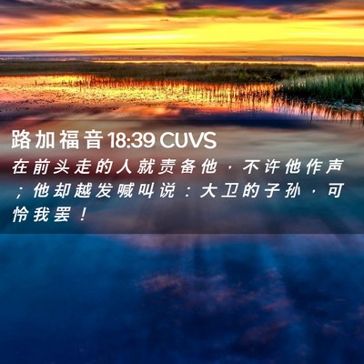 Picture 02 - 路 加 福 音 18:39 CUVS - 在 前 头 走 的 人 就 责 备 他 ， 不 - Bible Verse Picture