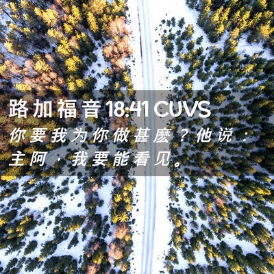 Picture 02 - 路 加 福 音 18:41 CUVS - 你 要 我 为 你 做 甚 麽 ？ 他 说 ： - Bible Verse Picture