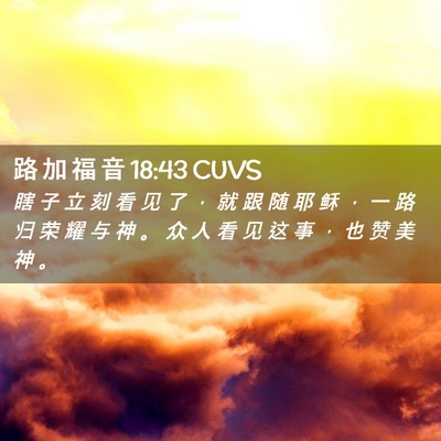 Picture 02 - 路 加 福 音 18:43 CUVS - 瞎 子 立 刻 看 见 了 ， 就 跟 随 耶 - Bible Verse Picture