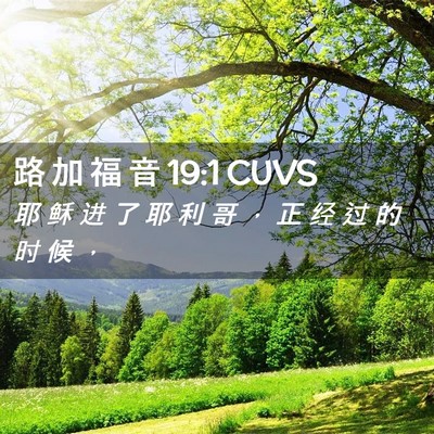 Picture 02 - 路 加 福 音 19:1 CUVS - 耶 稣 进 了 耶 利 哥 ， 正 经 过 的 - Bible Verse Picture