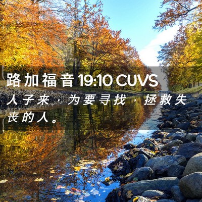Picture 02 - 路 加 福 音 19:10 CUVS - 人 子 来 ， 为 要 寻 找 ， 拯 救 失 - Bible Verse Picture